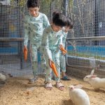 بيجاما الأرنبة البيضاء وصغارها