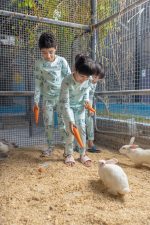 بيجاما الأرنبة البيضاء وصغارها