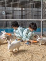 بيجاما الأرنبة البيضاء وصغارها - الصورة 2