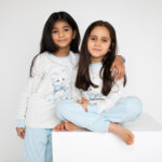 القطة الزرقاء