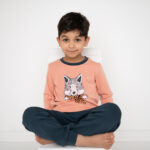 الثعلب الذكي - الصورة 5